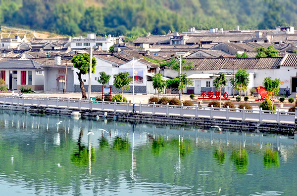 揭西县棉湖镇鲤鱼沟村在上级部门的帮扶下,推进美丽乡村建设.