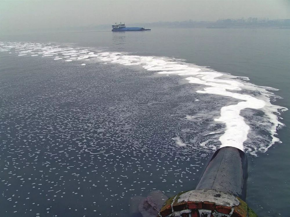 工业废污水的排放给水生生物带来巨大威胁.图/视觉中国