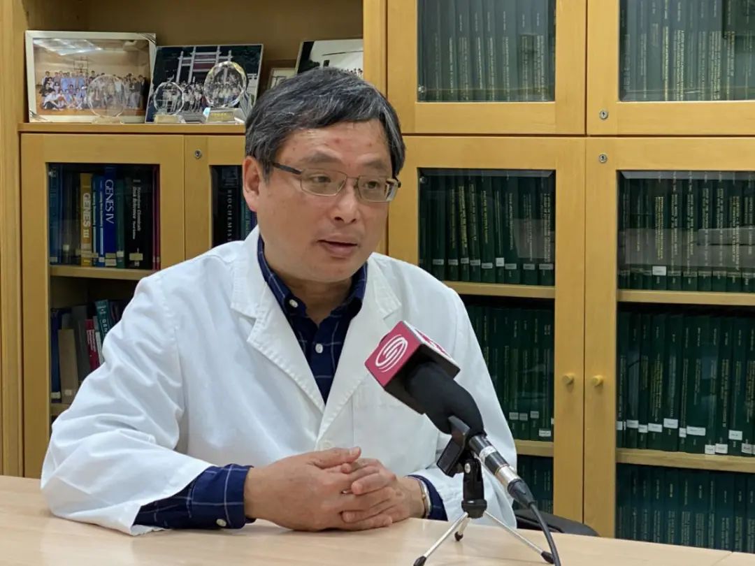 复阳是康复者再感染病毒学专家违背病毒学跟免疫学常识