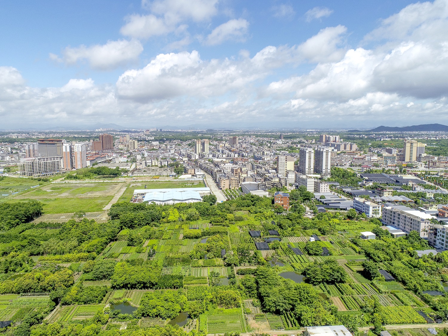 洪阳镇宝镜院村:在红色沃土上打造绿美乡村