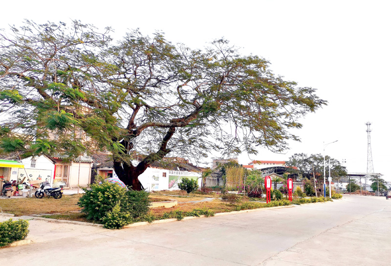 东陇镇华吴村积极创建美丽宜居新农村示范村