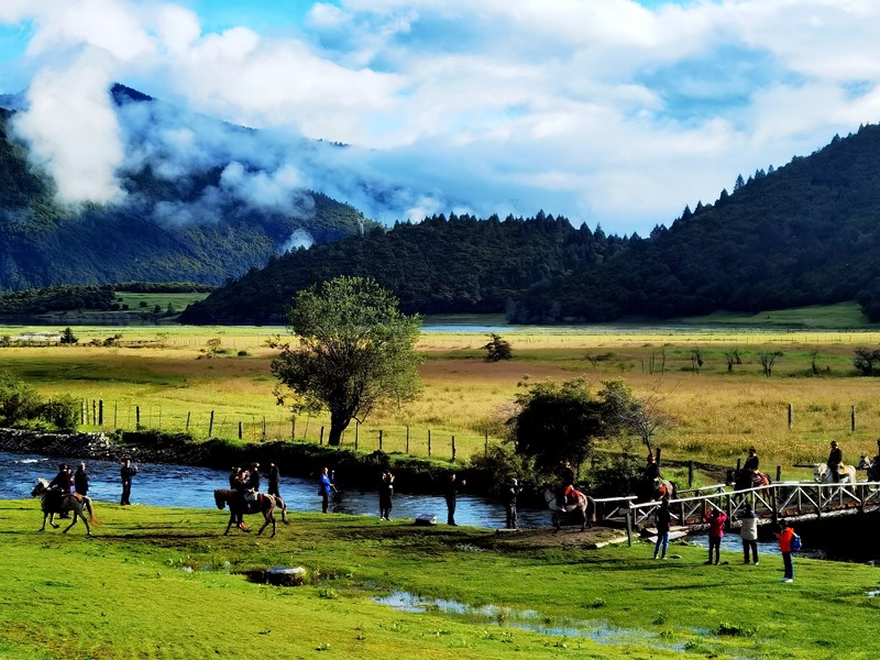 摄鲁朗国际旅游小镇,位于林芝市,是藏东南的天然氧吧,素有"东方瑞士"